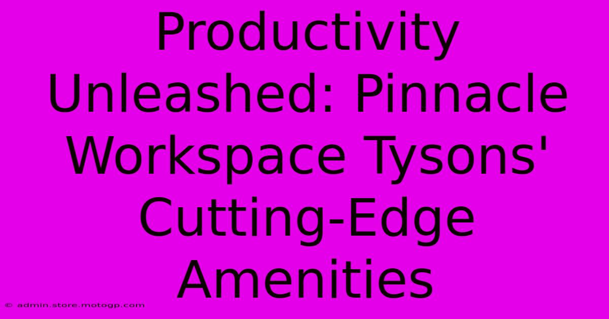 Productivity Unleashed: Pinnacle Workspace Tysons' Cutting-Edge Amenities