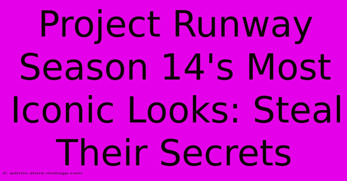 Project Runway Season 14's Most Iconic Looks: Steal Their Secrets