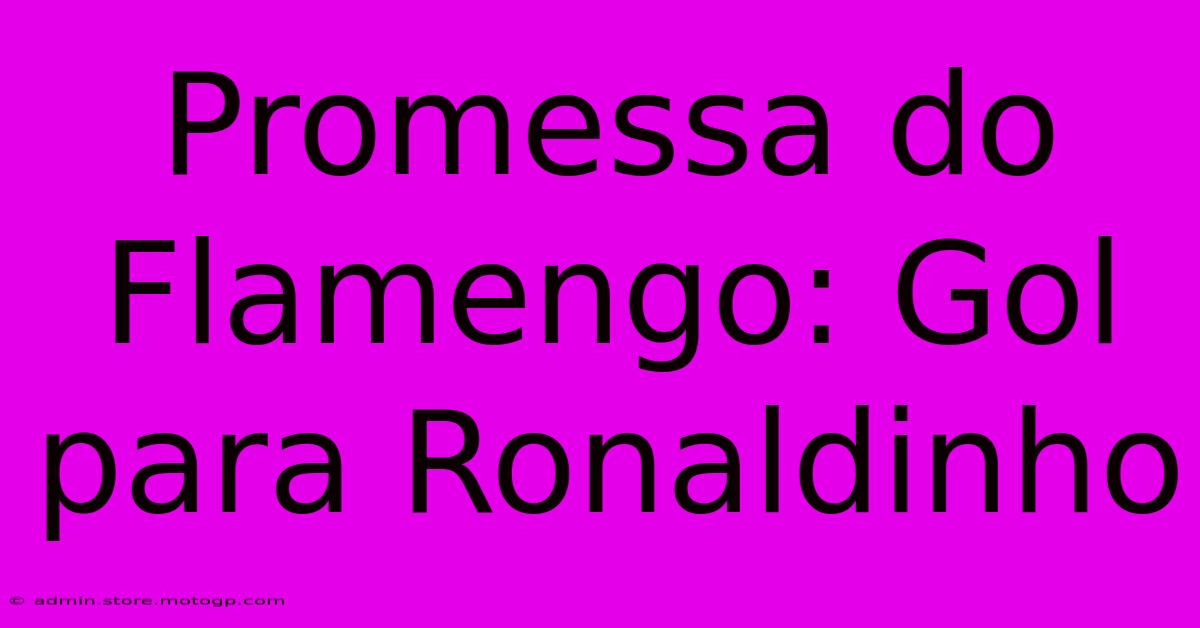 Promessa Do Flamengo: Gol Para Ronaldinho