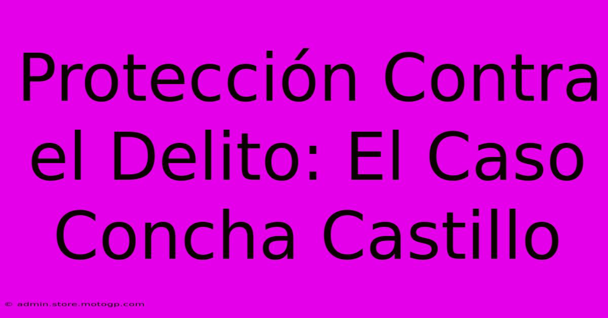 Protección Contra El Delito: El Caso Concha Castillo