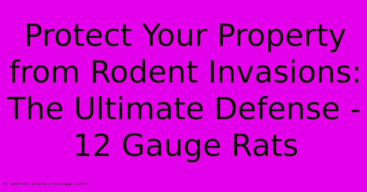 Protect Your Property From Rodent Invasions: The Ultimate Defense - 12 Gauge Rats