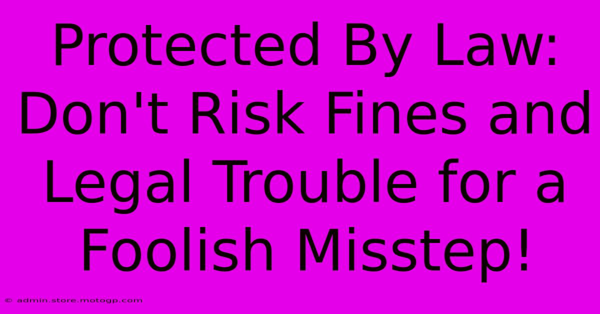 Protected By Law: Don't Risk Fines And Legal Trouble For A Foolish Misstep!