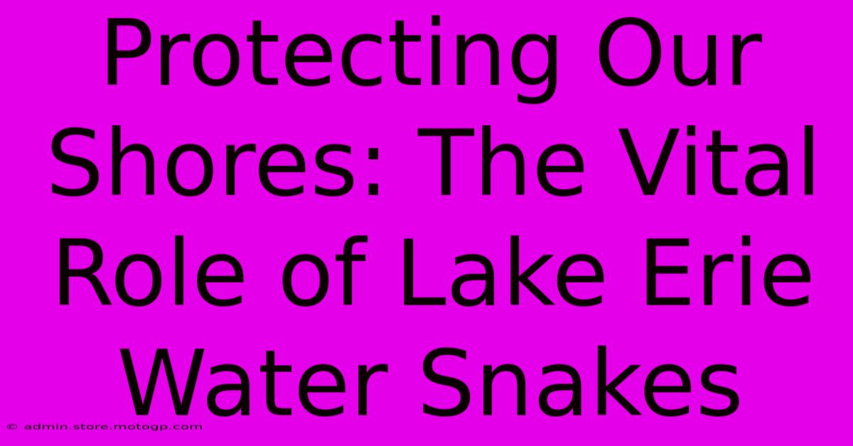 Protecting Our Shores: The Vital Role Of Lake Erie Water Snakes