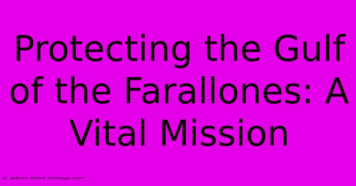 Protecting The Gulf Of The Farallones: A Vital Mission