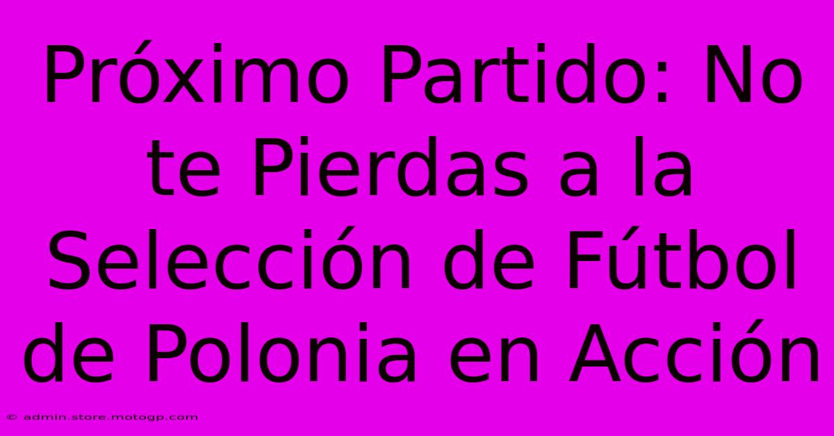 Próximo Partido: No Te Pierdas A La Selección De Fútbol De Polonia En Acción