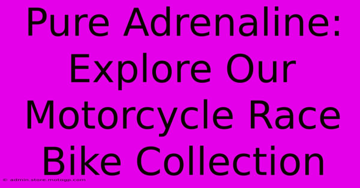 Pure Adrenaline: Explore Our Motorcycle Race Bike Collection