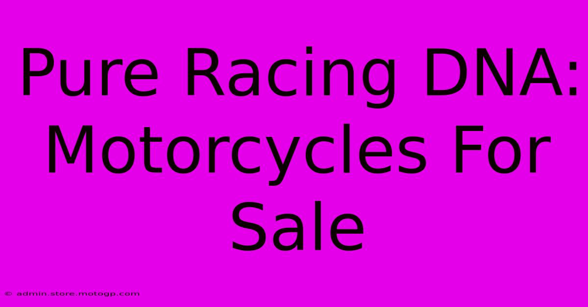 Pure Racing DNA: Motorcycles For Sale