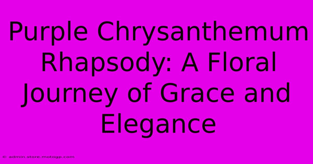 Purple Chrysanthemum Rhapsody: A Floral Journey Of Grace And Elegance