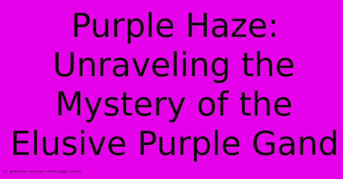 Purple Haze: Unraveling The Mystery Of The Elusive Purple Gand