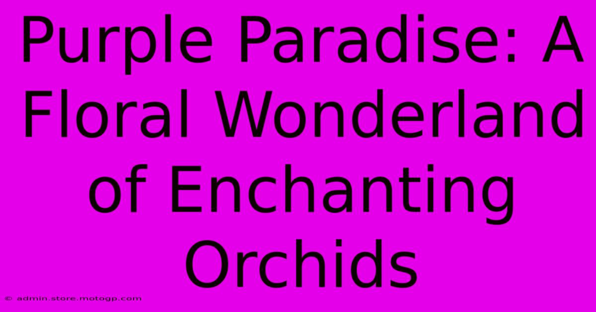 Purple Paradise: A Floral Wonderland Of Enchanting Orchids