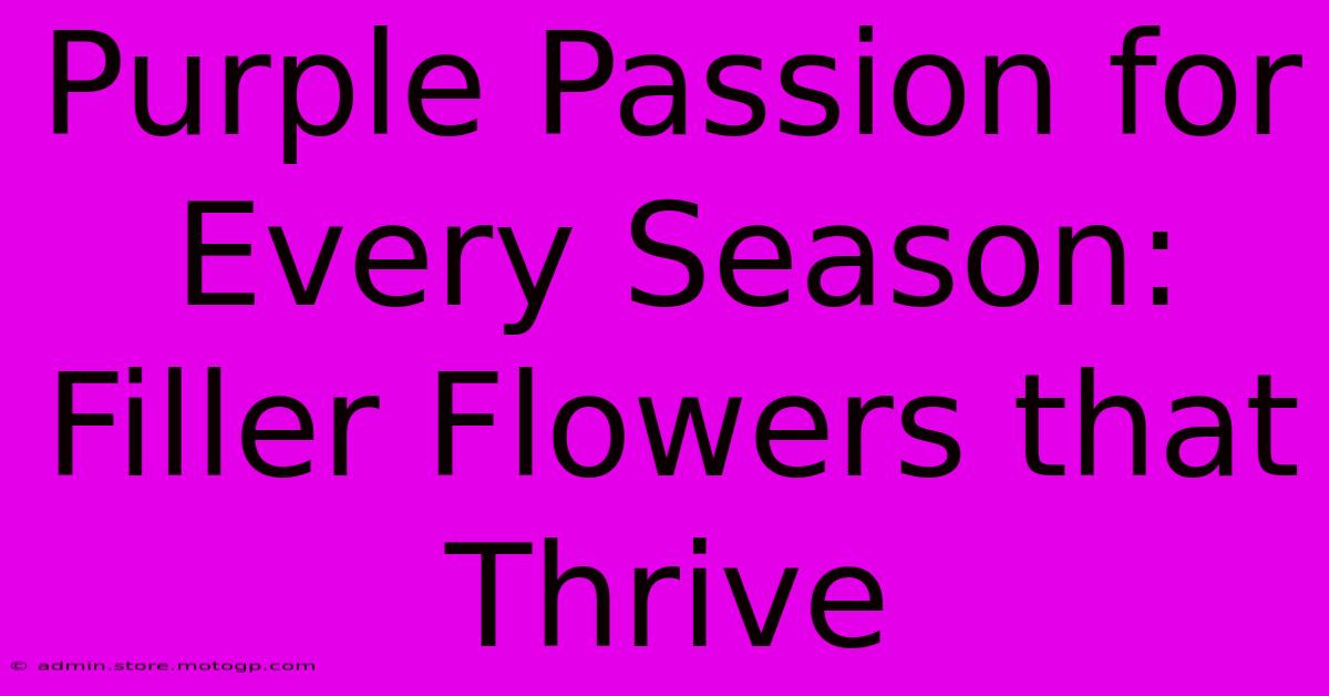 Purple Passion For Every Season: Filler Flowers That Thrive