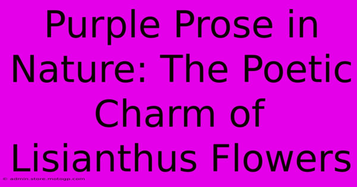 Purple Prose In Nature: The Poetic Charm Of Lisianthus Flowers