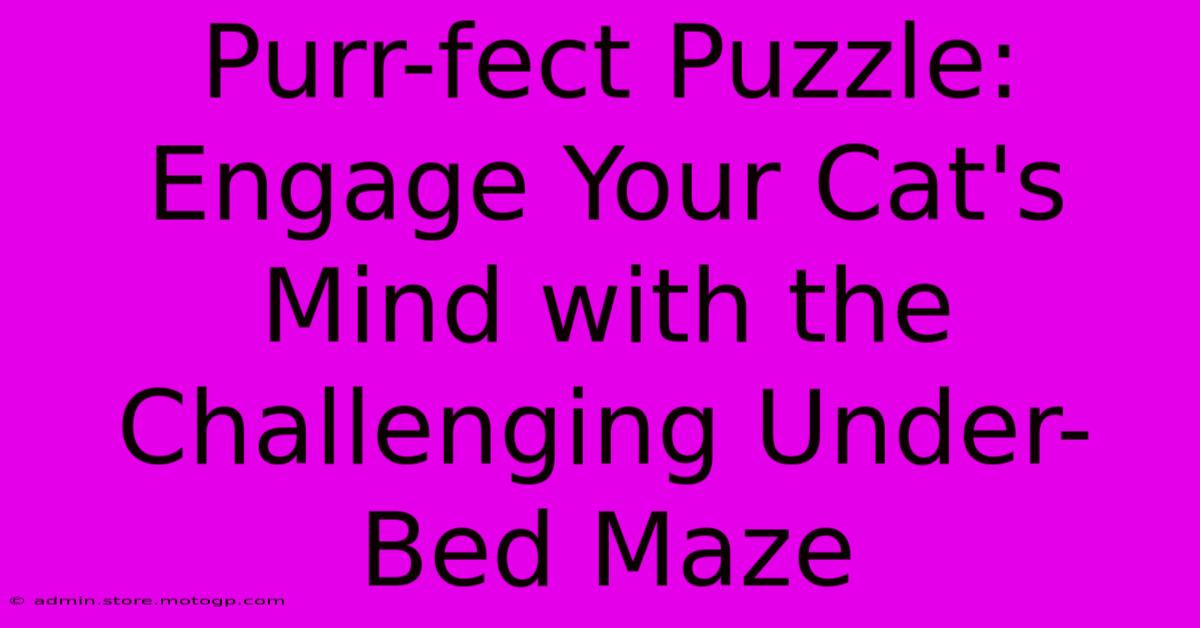 Purr-fect Puzzle: Engage Your Cat's Mind With The Challenging Under-Bed Maze