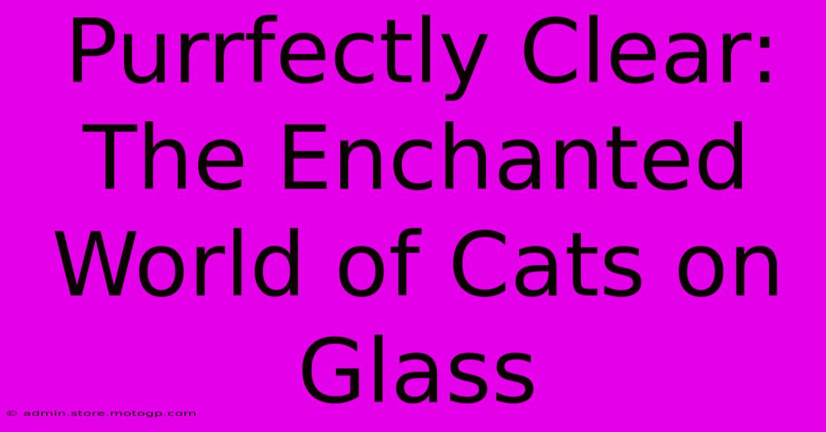 Purrfectly Clear: The Enchanted World Of Cats On Glass