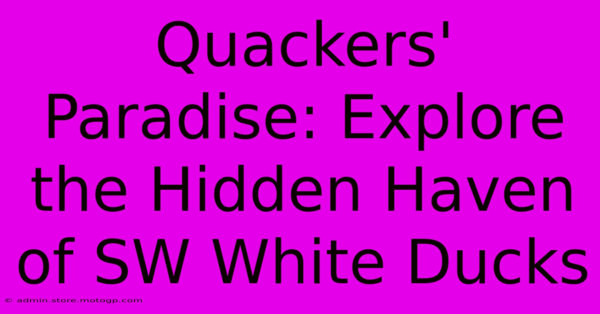 Quackers' Paradise: Explore The Hidden Haven Of SW White Ducks