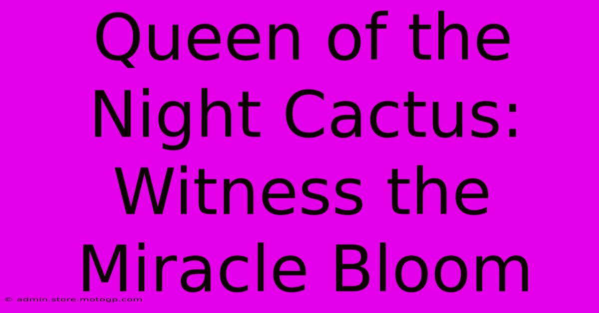 Queen Of The Night Cactus: Witness The Miracle Bloom