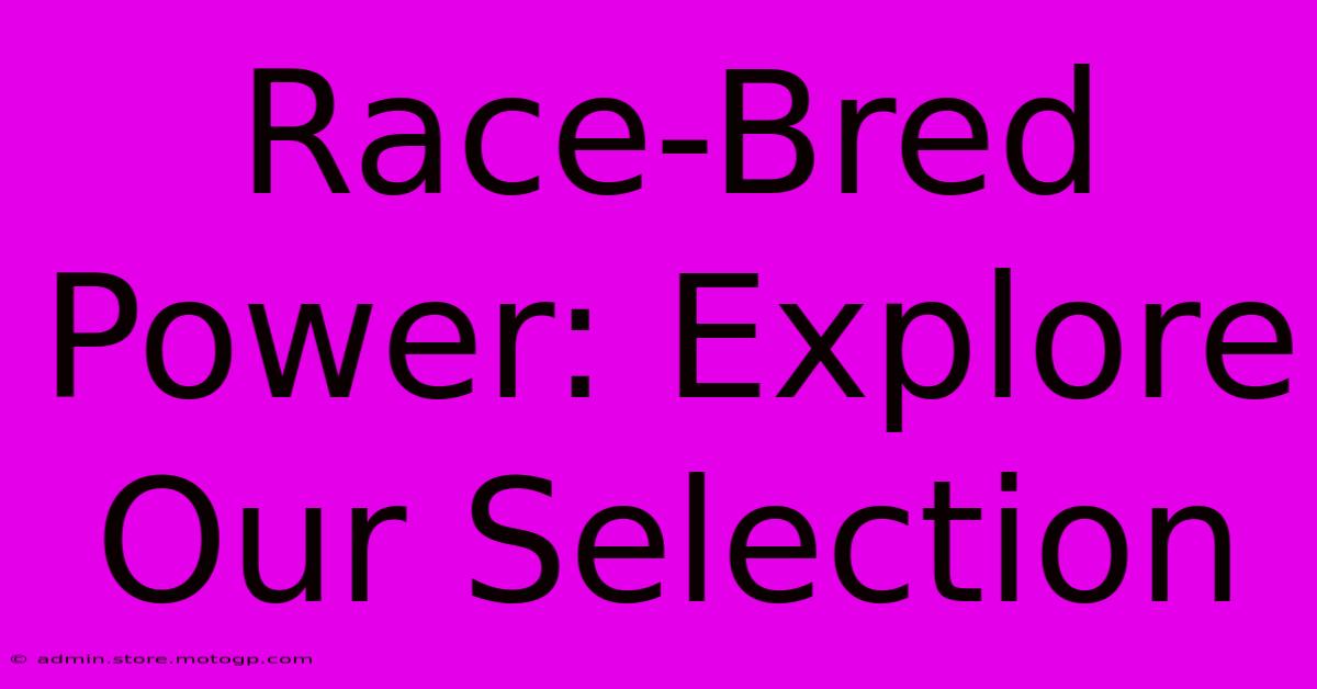 Race-Bred Power: Explore Our Selection