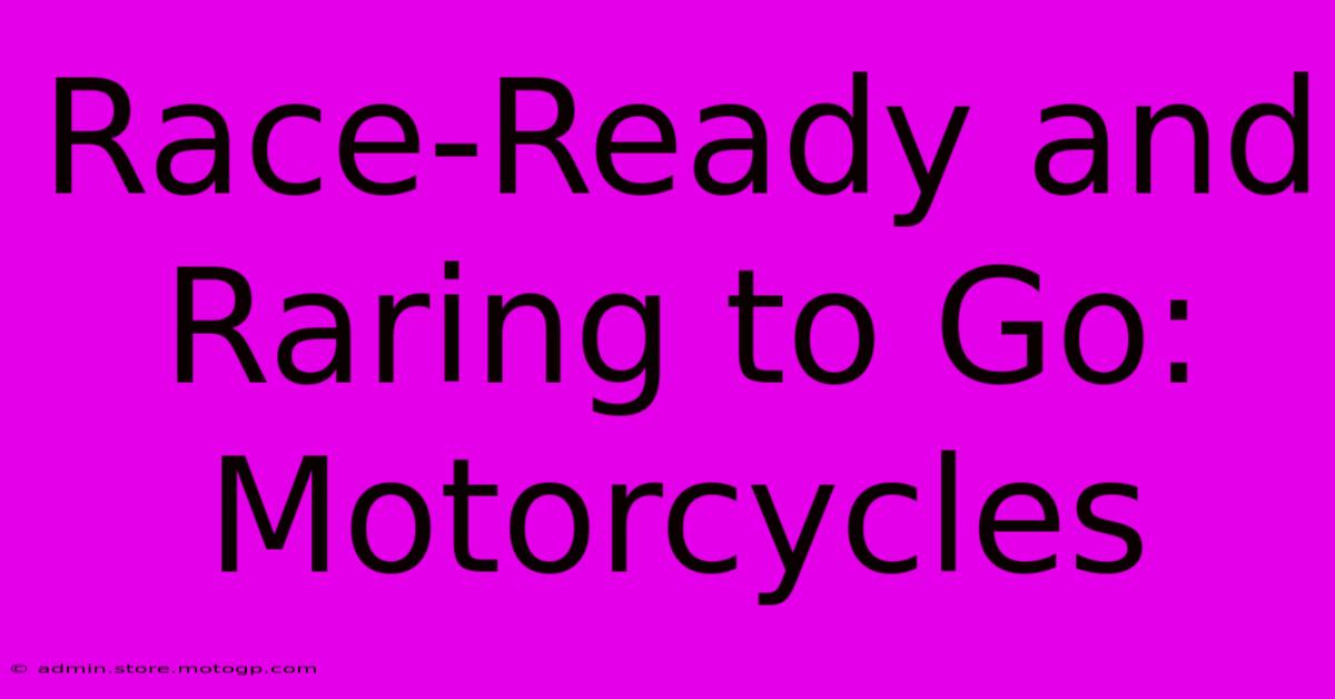 Race-Ready And Raring To Go: Motorcycles