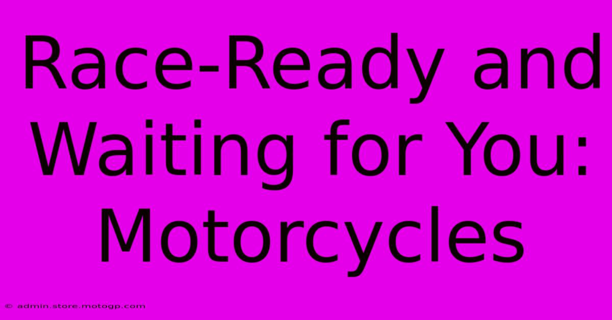 Race-Ready And Waiting For You: Motorcycles