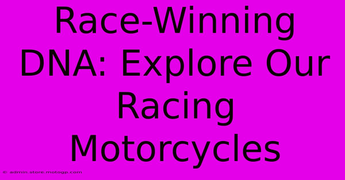 Race-Winning DNA: Explore Our Racing Motorcycles