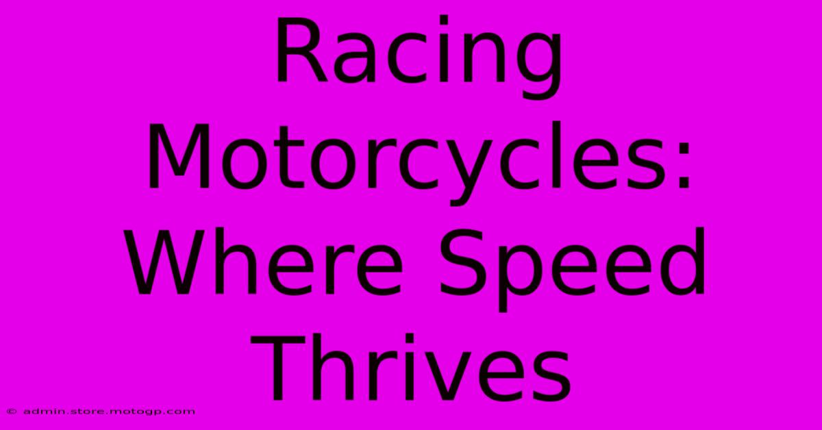 Racing Motorcycles: Where Speed Thrives