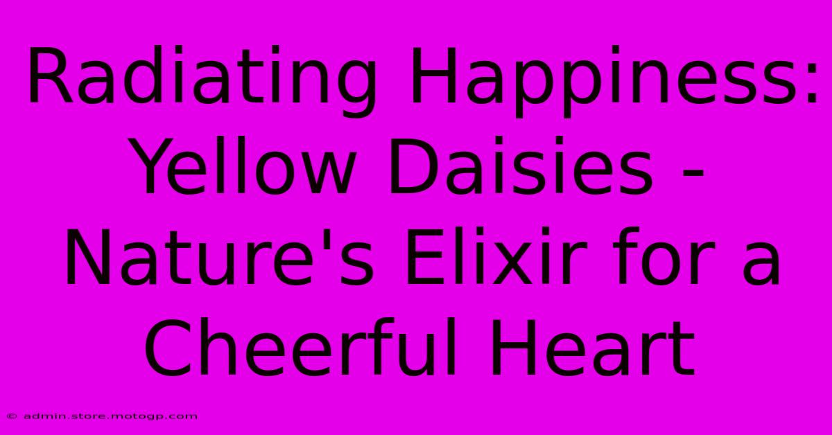 Radiating Happiness: Yellow Daisies - Nature's Elixir For A Cheerful Heart