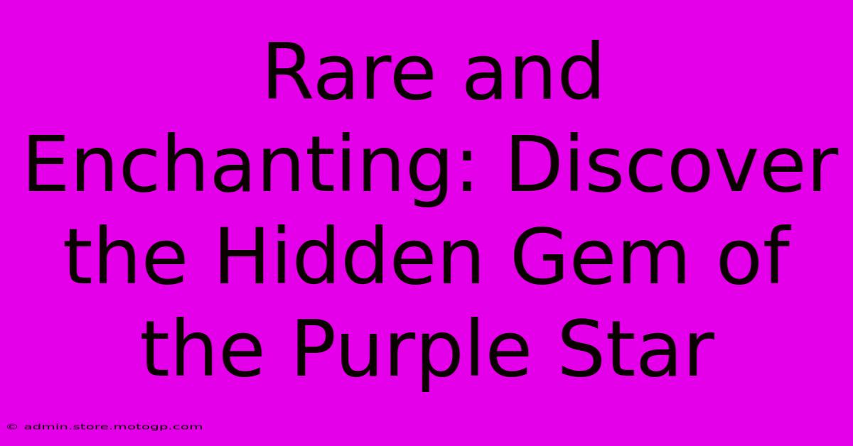 Rare And Enchanting: Discover The Hidden Gem Of The Purple Star