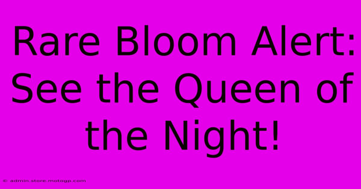 Rare Bloom Alert:  See The Queen Of The Night!