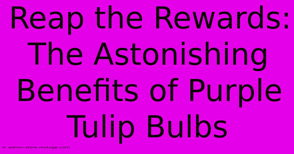 Reap The Rewards: The Astonishing Benefits Of Purple Tulip Bulbs