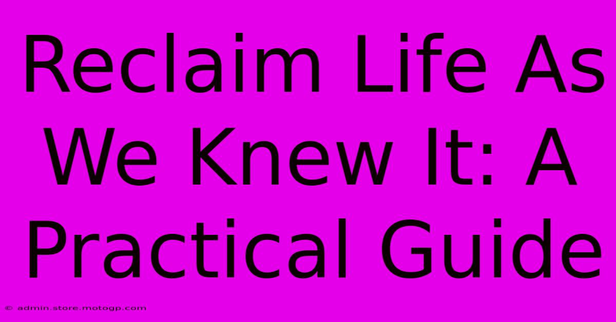 Reclaim Life As We Knew It: A Practical Guide