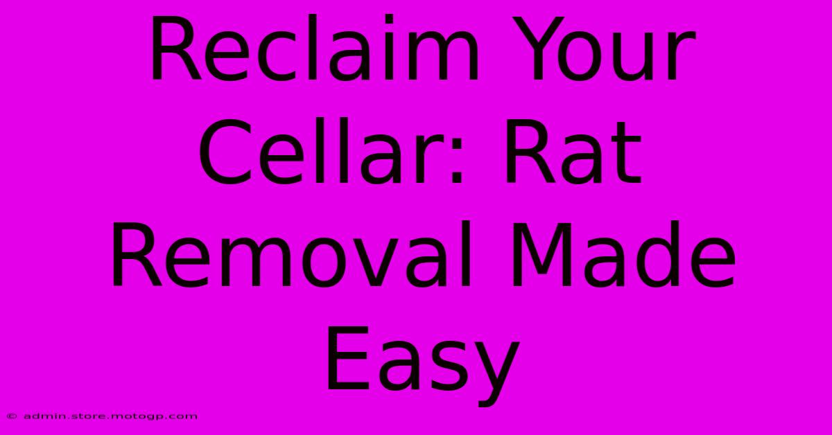 Reclaim Your Cellar: Rat Removal Made Easy