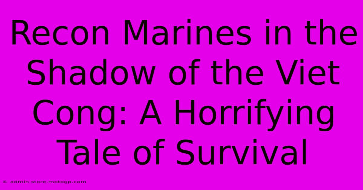 Recon Marines In The Shadow Of The Viet Cong: A Horrifying Tale Of Survival