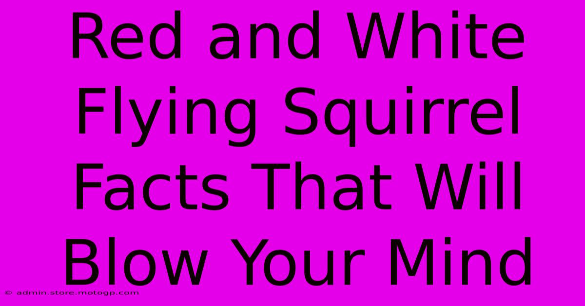 Red And White Flying Squirrel Facts That Will Blow Your Mind