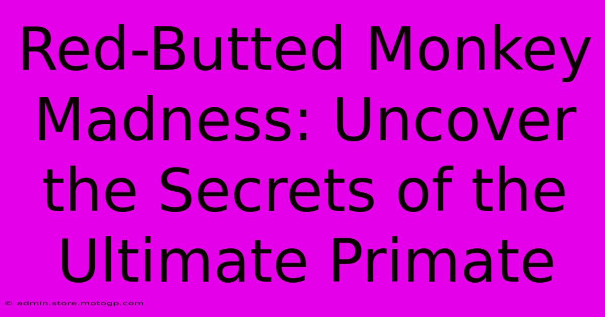 Red-Butted Monkey Madness: Uncover The Secrets Of The Ultimate Primate