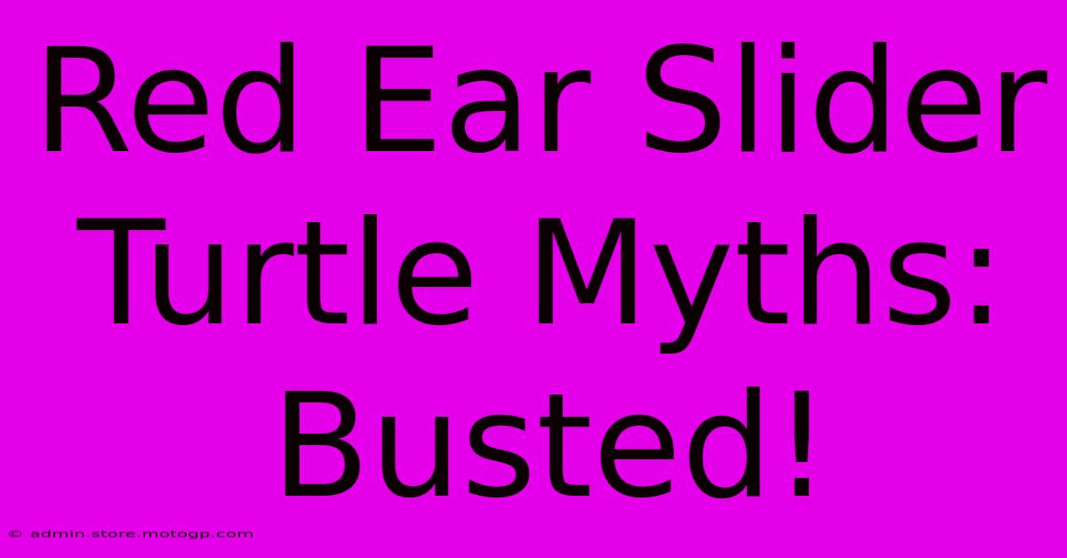 Red Ear Slider Turtle Myths: Busted!