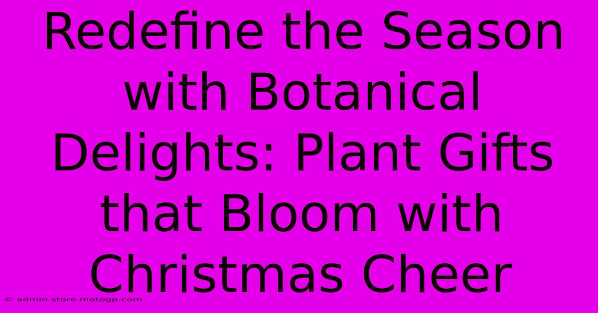 Redefine The Season With Botanical Delights: Plant Gifts That Bloom With Christmas Cheer