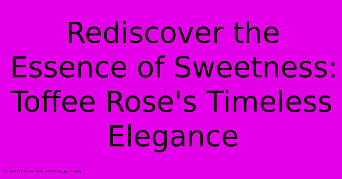 Rediscover The Essence Of Sweetness: Toffee Rose's Timeless Elegance