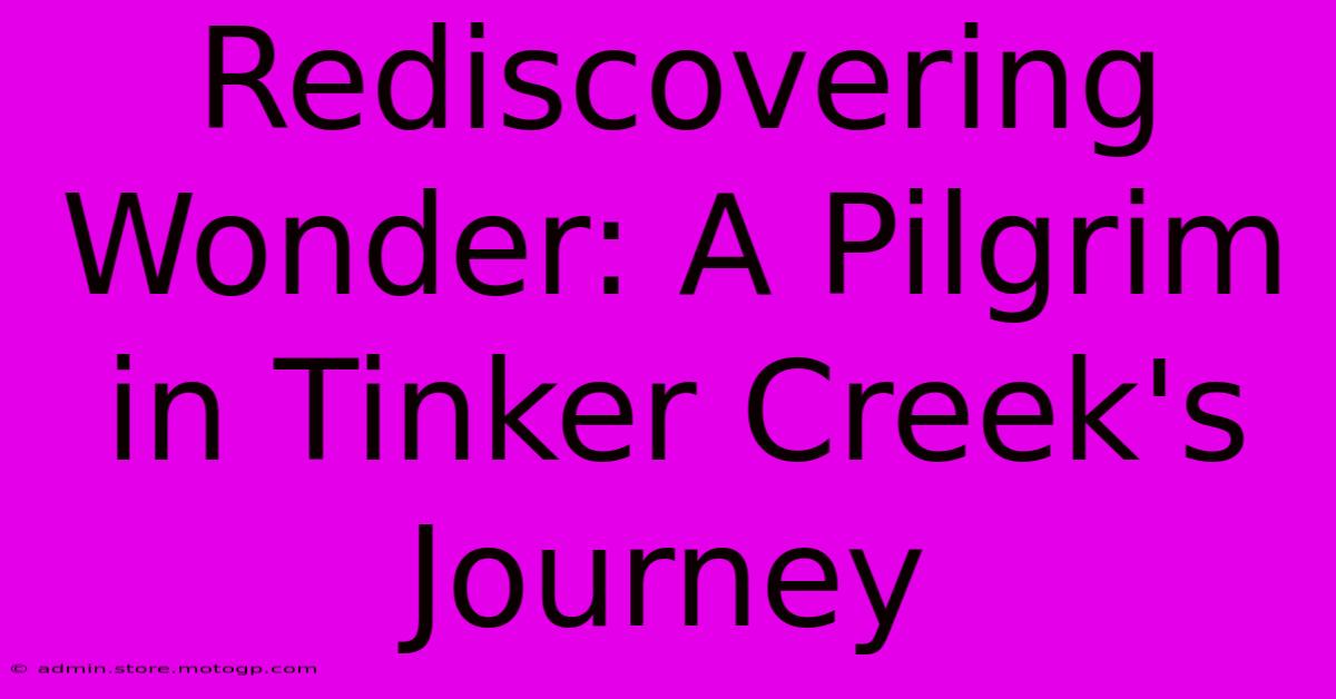 Rediscovering Wonder: A Pilgrim In Tinker Creek's Journey