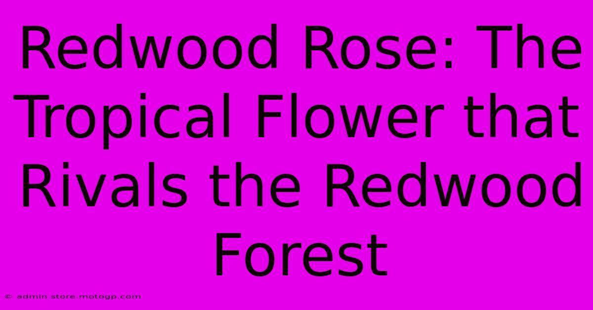 Redwood Rose: The Tropical Flower That Rivals The Redwood Forest