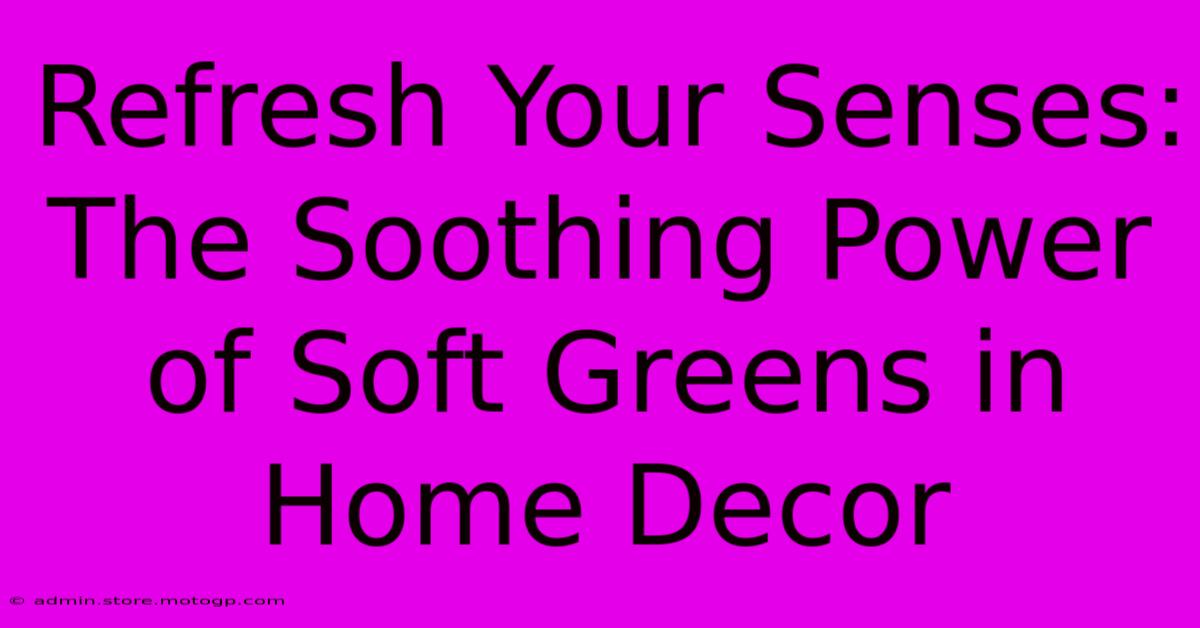 Refresh Your Senses: The Soothing Power Of Soft Greens In Home Decor