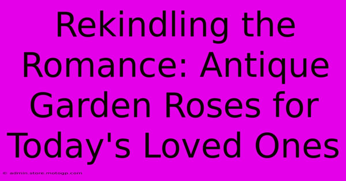 Rekindling The Romance: Antique Garden Roses For Today's Loved Ones