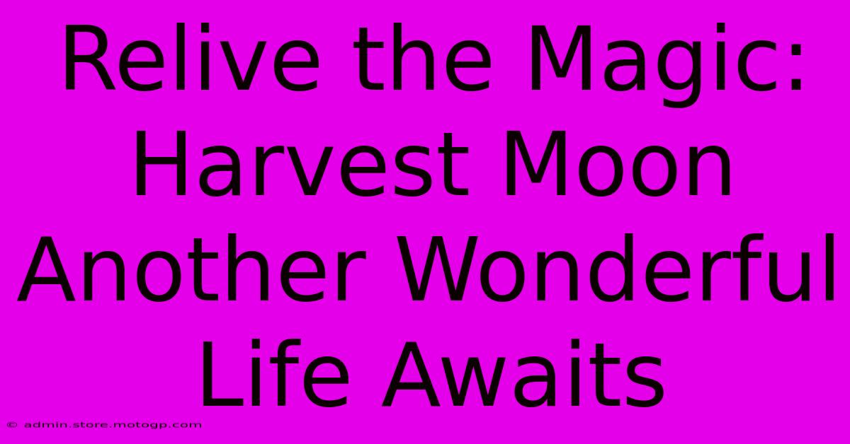 Relive The Magic: Harvest Moon Another Wonderful Life Awaits