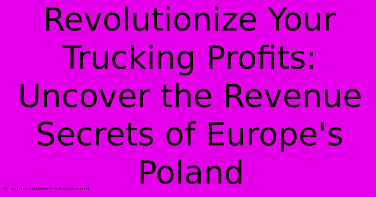 Revolutionize Your Trucking Profits: Uncover The Revenue Secrets Of Europe's Poland