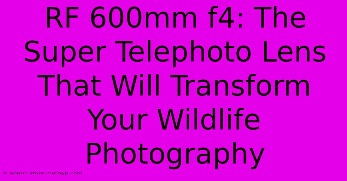 RF 600mm F4: The Super Telephoto Lens That Will Transform Your Wildlife Photography