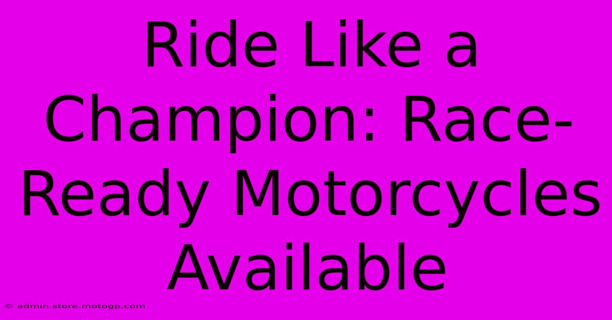 Ride Like A Champion: Race-Ready Motorcycles Available