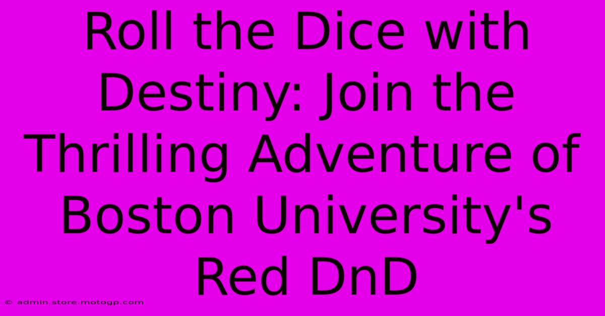 Roll The Dice With Destiny: Join The Thrilling Adventure Of Boston University's Red DnD