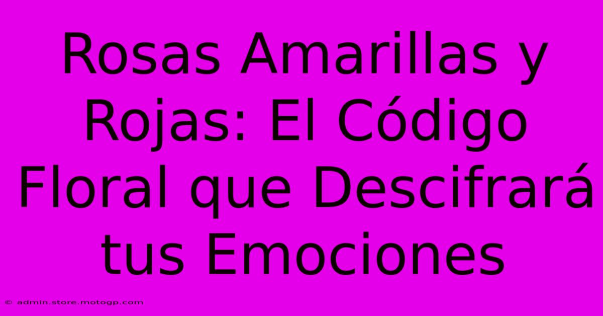 Rosas Amarillas Y Rojas: El Código Floral Que Descifrará Tus Emociones