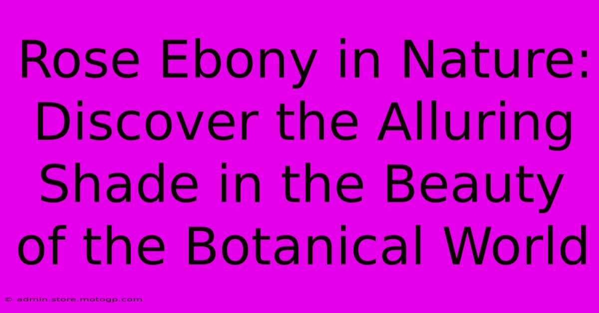 Rose Ebony In Nature: Discover The Alluring Shade In The Beauty Of The Botanical World