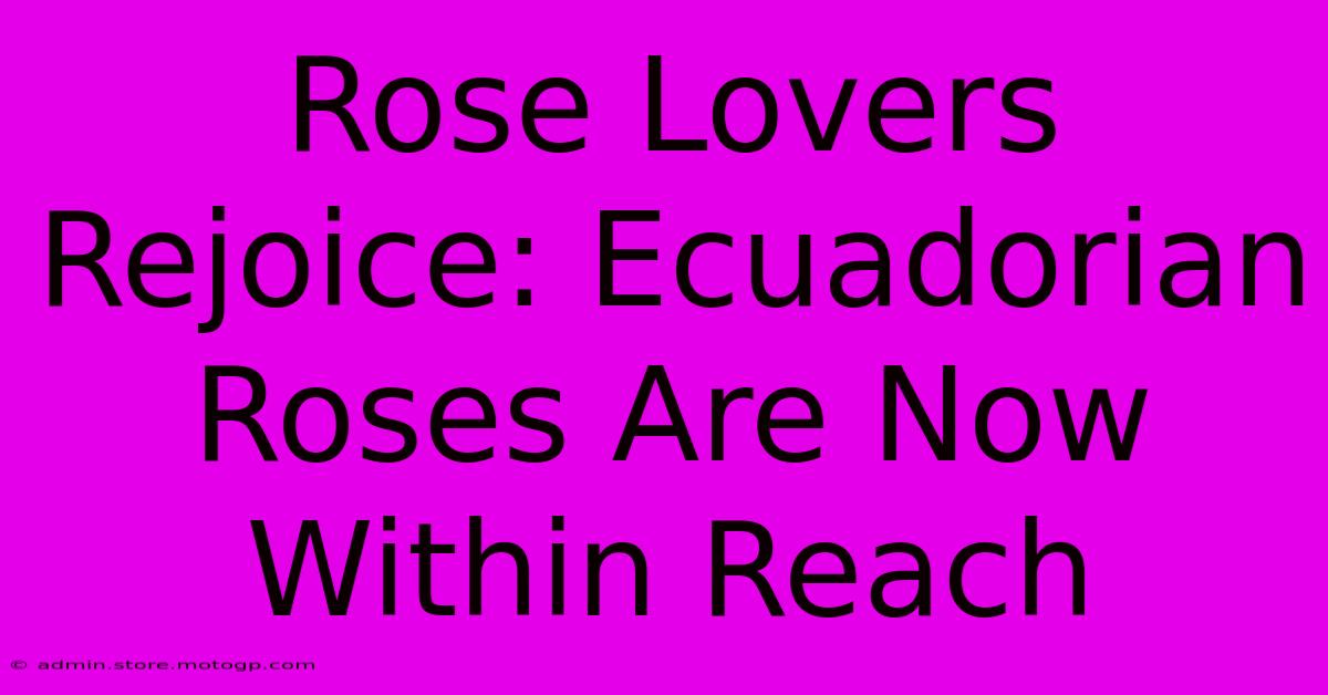 Rose Lovers Rejoice: Ecuadorian Roses Are Now Within Reach