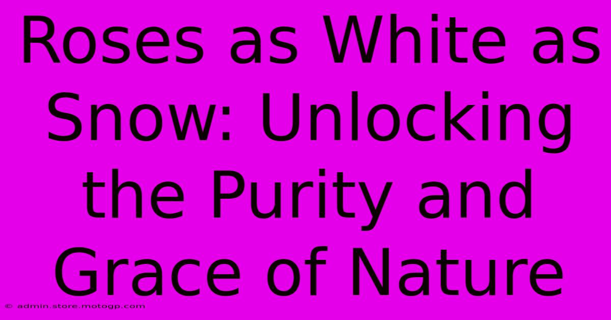 Roses As White As Snow: Unlocking The Purity And Grace Of Nature